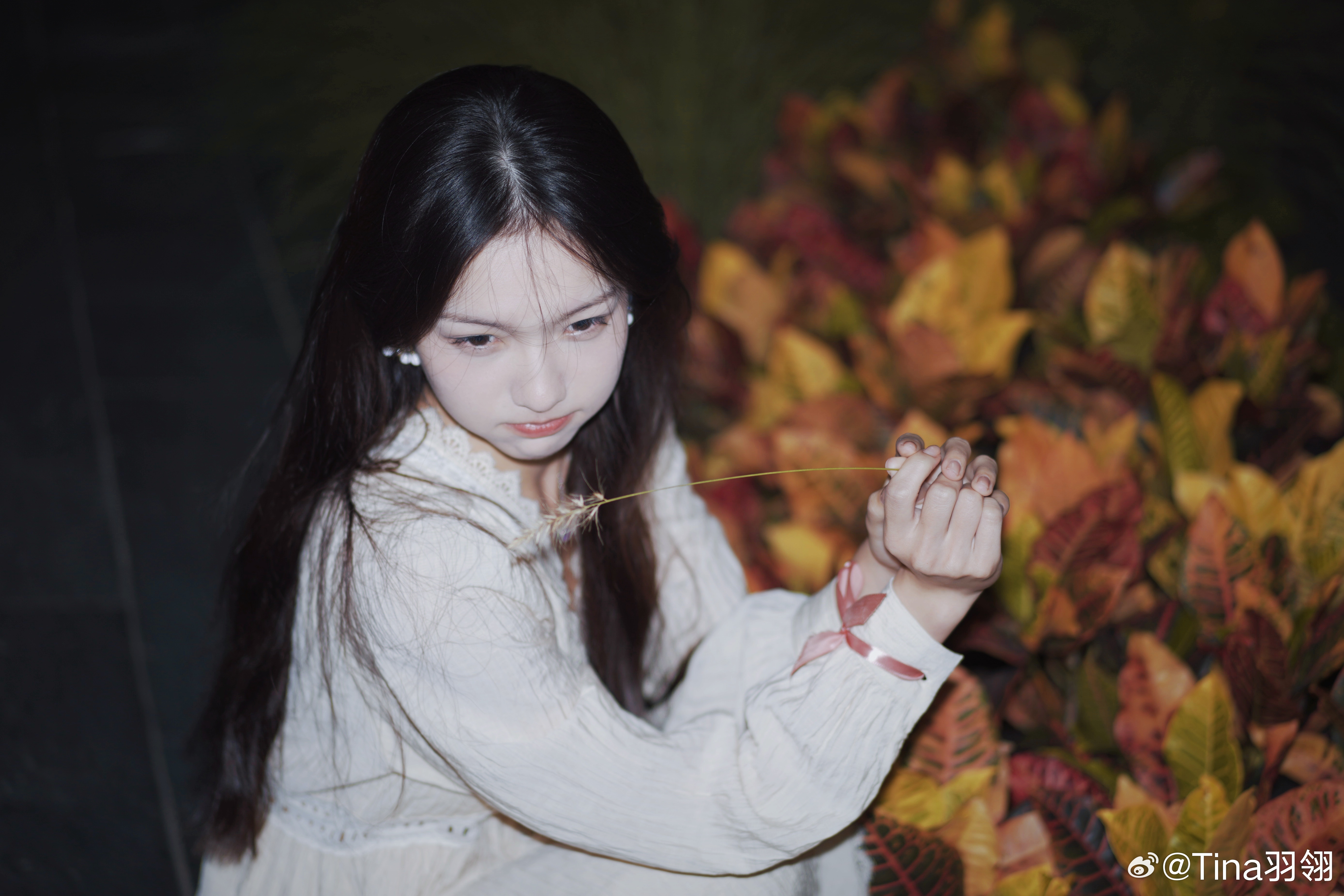 照片