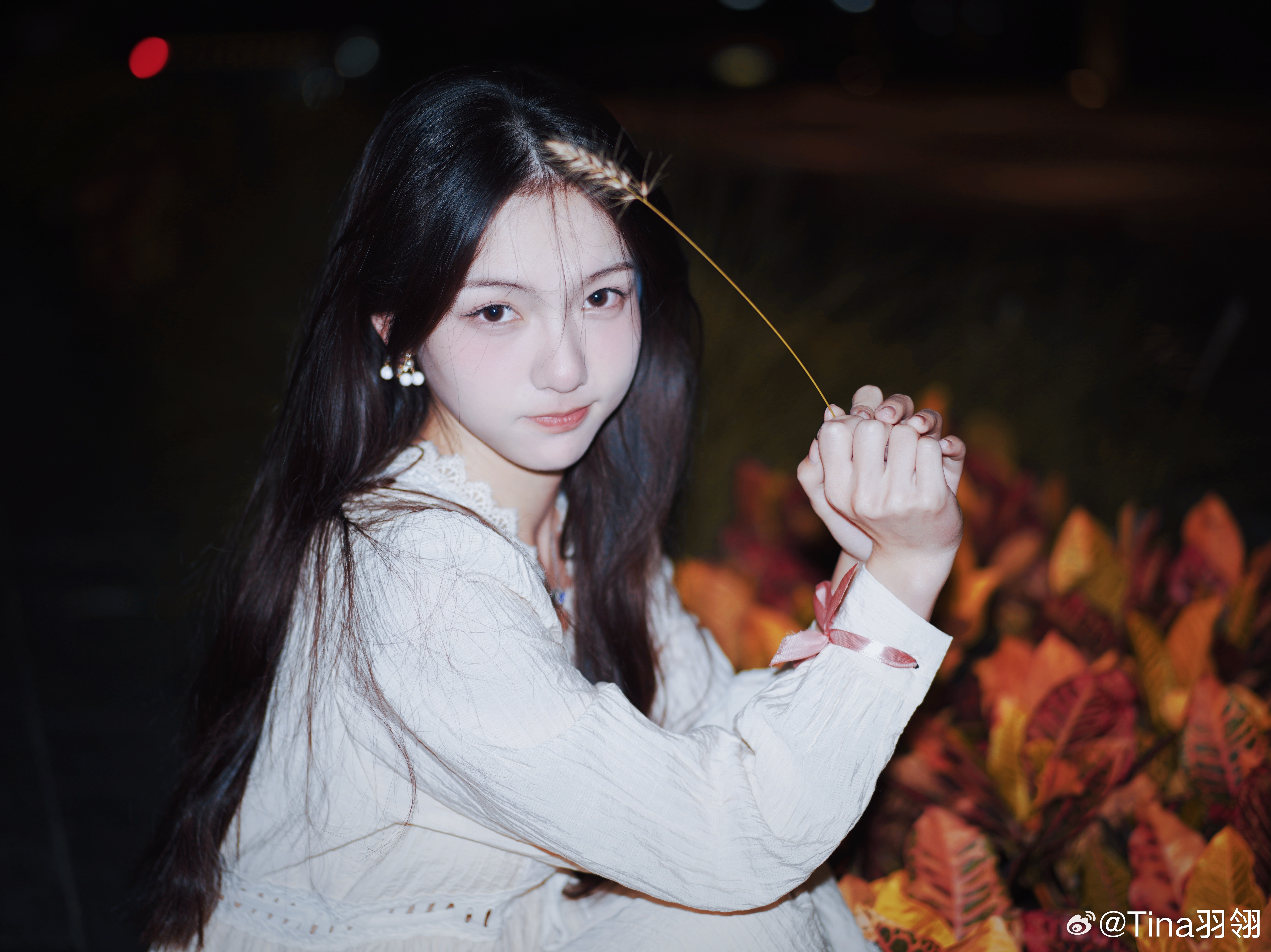 照片